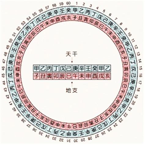 1993年天干|天干地支对照表